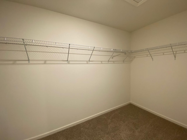 spacious closet with carpet