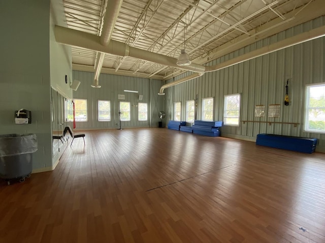 workout room with hardwood / wood-style floors, a towering ceiling, and a healthy amount of sunlight