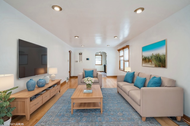 living room featuring wood-type flooring