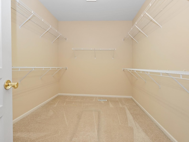 spacious closet with carpet flooring