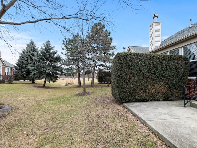 view of yard featuring a patio