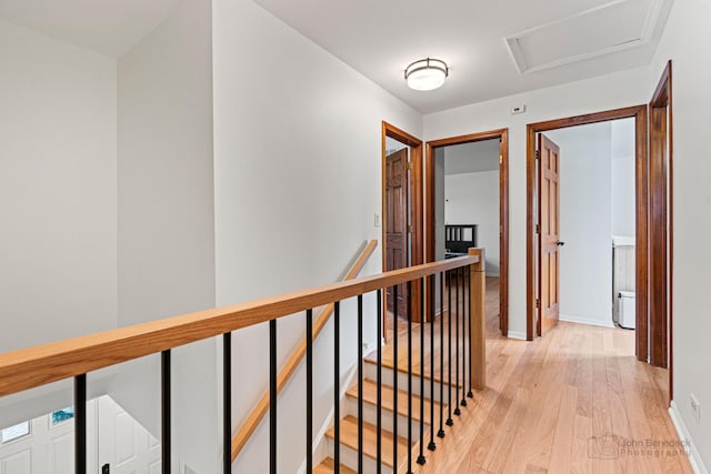 corridor featuring light hardwood / wood-style floors