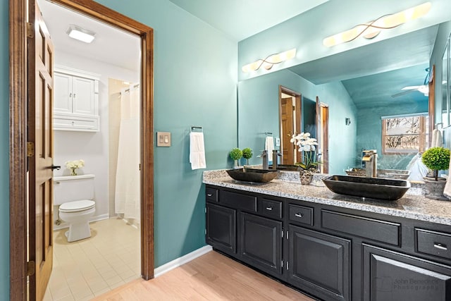 bathroom featuring vanity, hardwood / wood-style flooring, curtained shower, and toilet