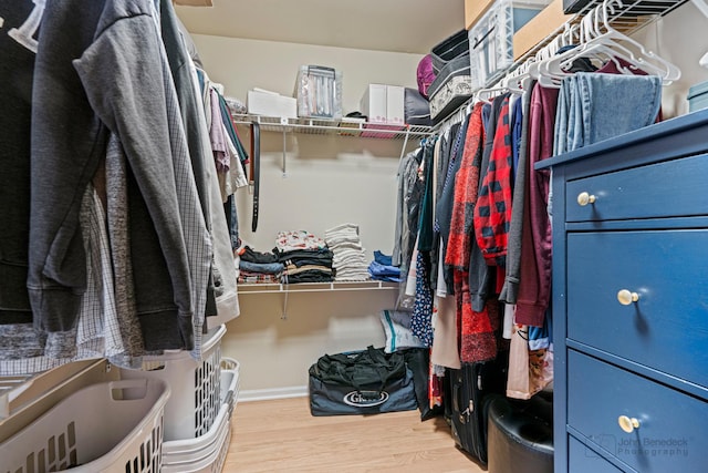 walk in closet featuring wood-type flooring