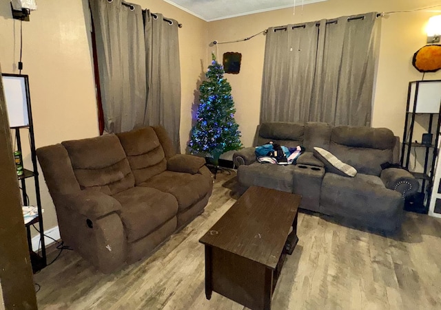 living room featuring wood-type flooring and crown molding