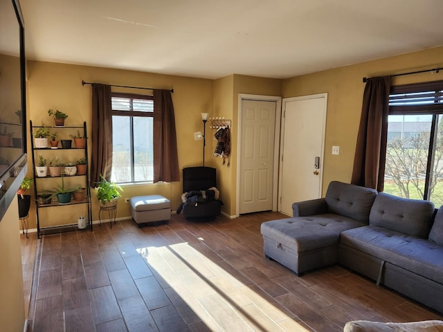 living room featuring plenty of natural light and hardwood / wood-style floors