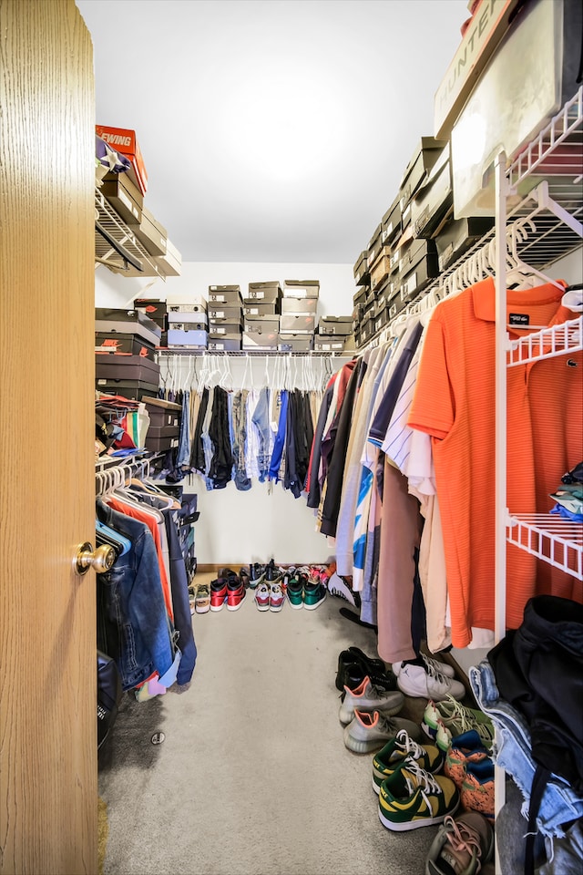 walk in closet with carpet flooring