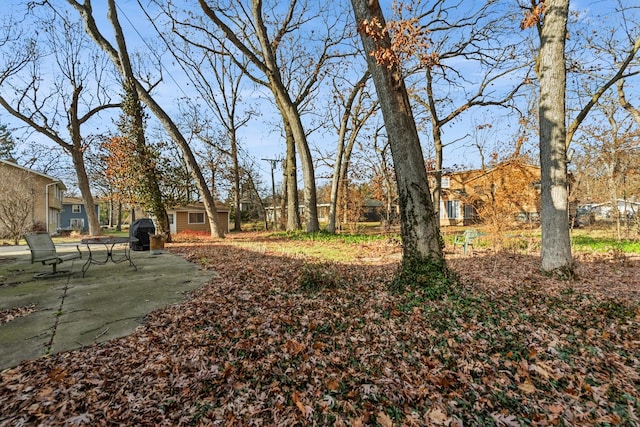 view of yard with a patio