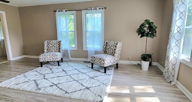 living area with a healthy amount of sunlight and light wood-type flooring