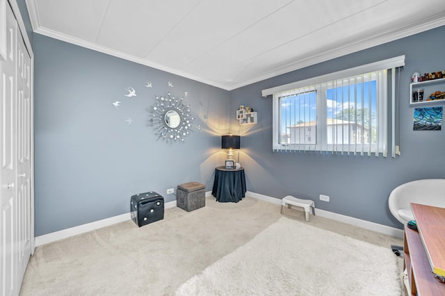 miscellaneous room featuring carpet and ornamental molding