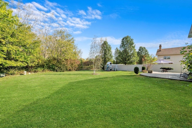 view of yard with a patio area