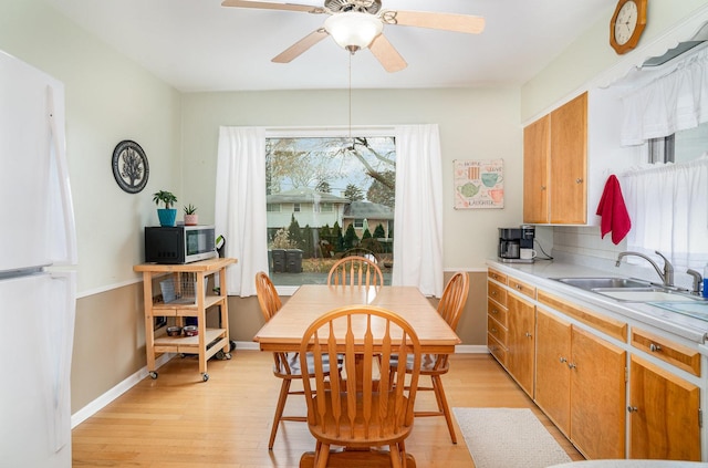 dining space with ceiling fan, sink, and light wood-type flooring