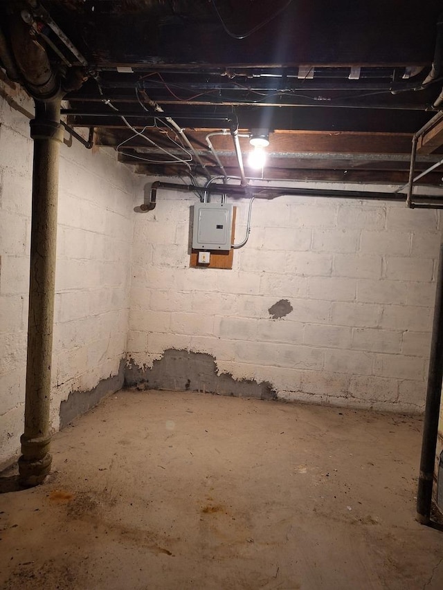 basement with electric panel