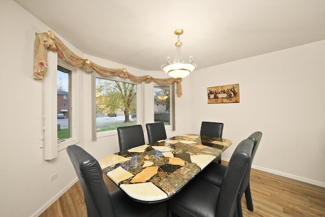 dining room featuring hardwood / wood-style flooring