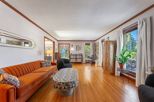 living room with ornamental molding and light hardwood / wood-style floors