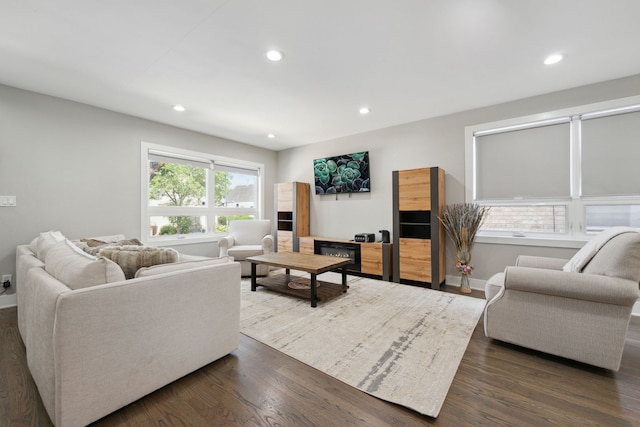 living room featuring dark hardwood / wood-style flooring