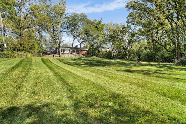 820 Exmoor Rd, Olympia Fields, IL 60461 - view of green lawn