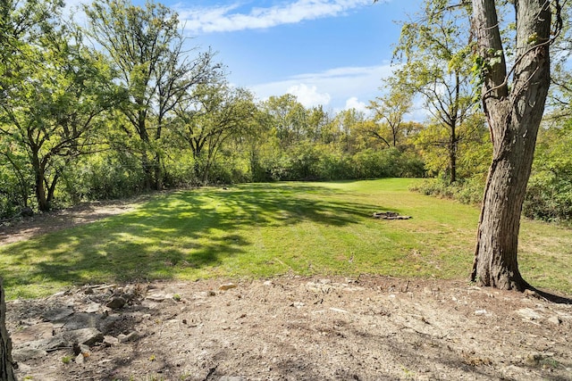 820 Exmoor Rd, Olympia Fields, IL 60461 - view of green lawn