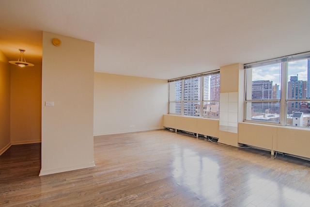 empty room featuring wood-type flooring