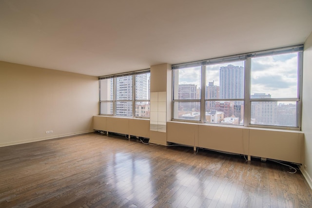 unfurnished room featuring wood-type flooring