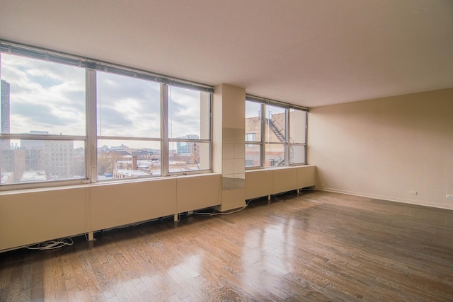 empty room featuring wood-type flooring