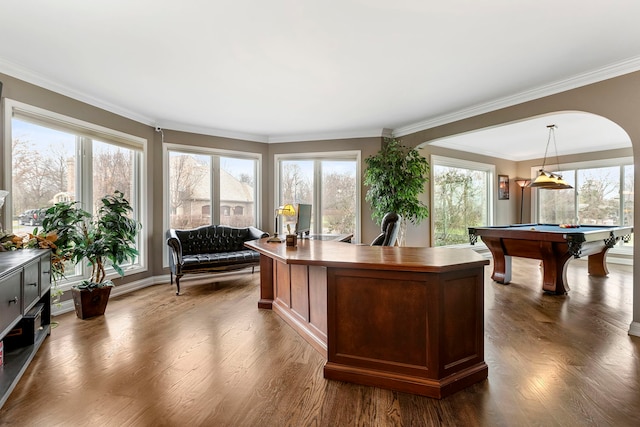 office space featuring dark hardwood / wood-style floors, crown molding, and billiards