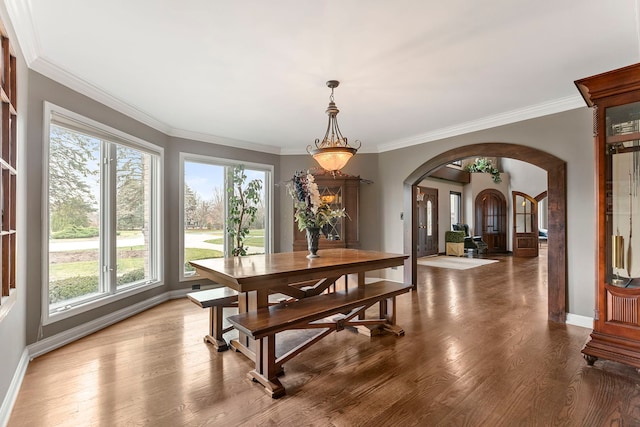 dining area with crown molding, plenty of natural light, and wood-type flooring