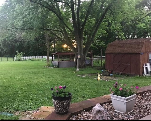 view of yard featuring a storage shed