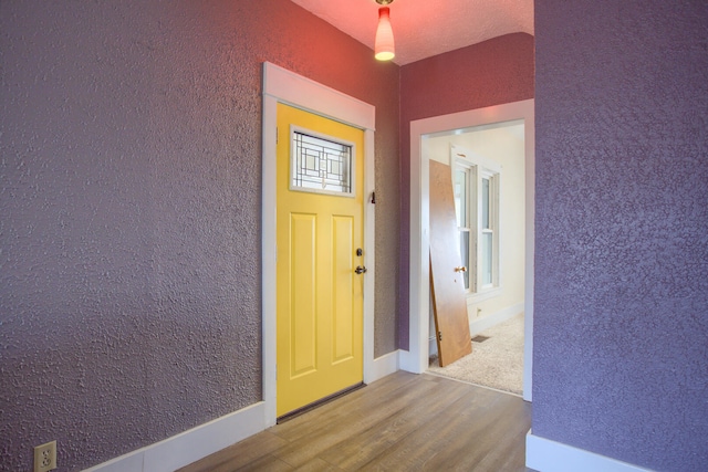 foyer with hardwood / wood-style floors