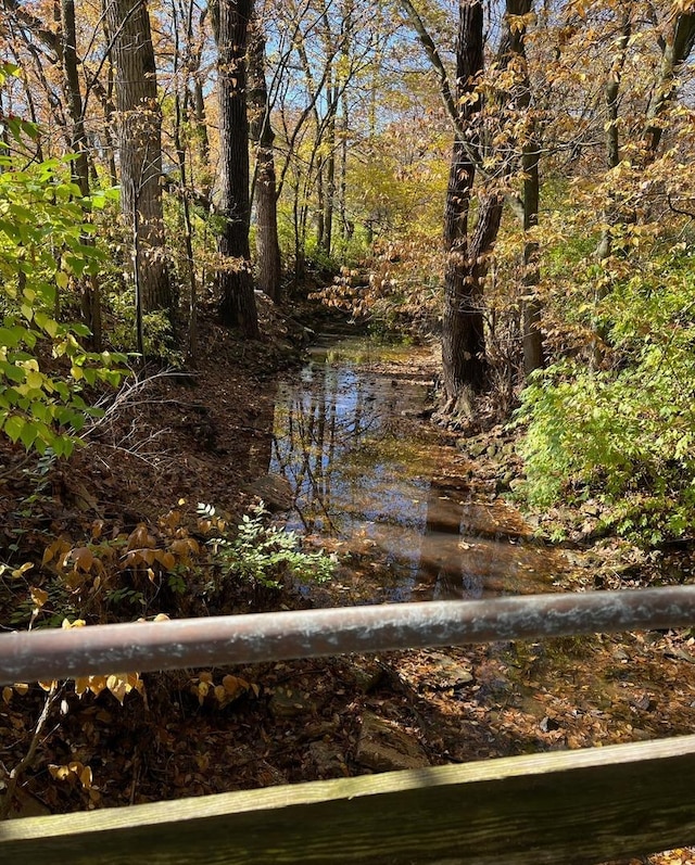 view of nature with a water view