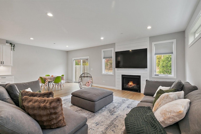 living room featuring a fireplace and light wood-type flooring