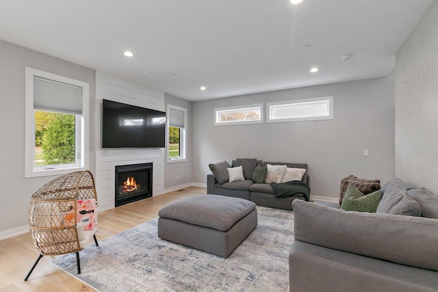 living room featuring a fireplace and light hardwood / wood-style flooring