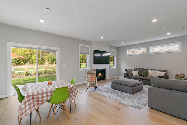 living room featuring plenty of natural light, a large fireplace, and light hardwood / wood-style flooring