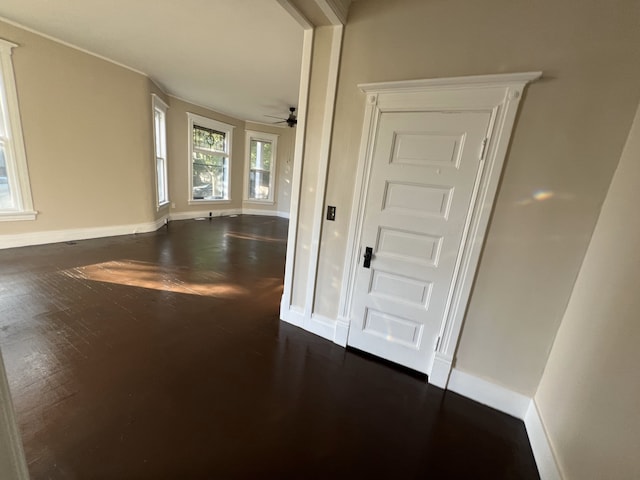 corridor featuring dark hardwood / wood-style floors