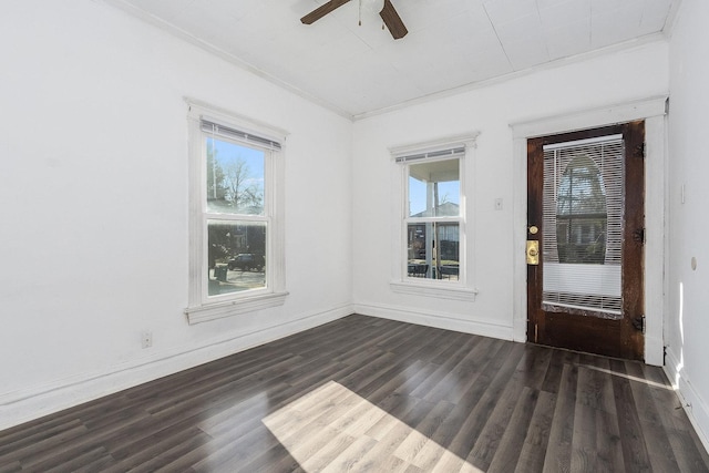 empty room featuring a wealth of natural light, dark hardwood / wood-style flooring, and crown molding