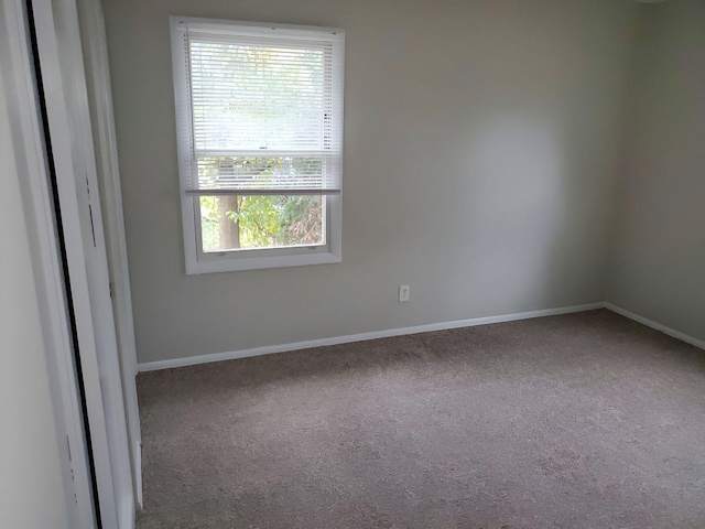 spare room with carpet