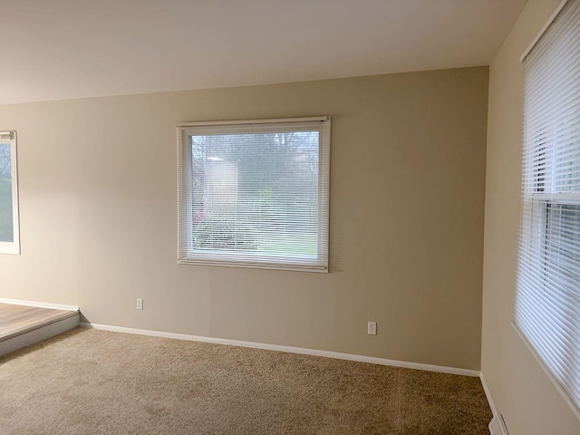 spare room with carpet flooring