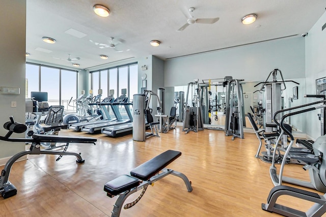 workout area featuring light hardwood / wood-style flooring and ceiling fan