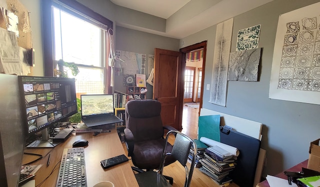 home office with a wealth of natural light and hardwood / wood-style flooring