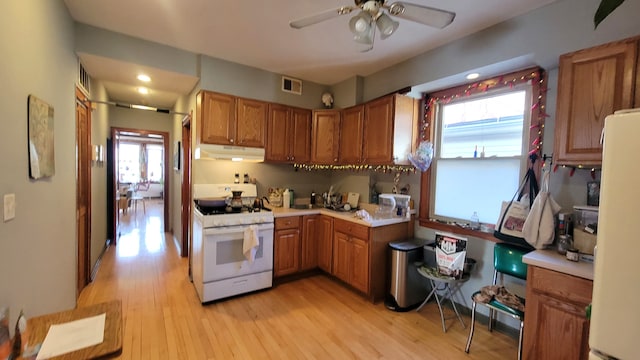 kitchen with ceiling fan, a healthy amount of sunlight, light wood-type flooring, and white appliances