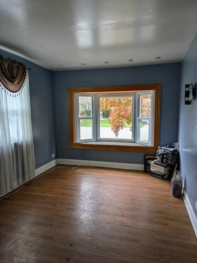 spare room with wood-type flooring