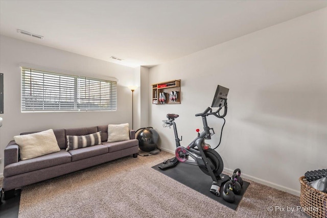 exercise room featuring carpet flooring