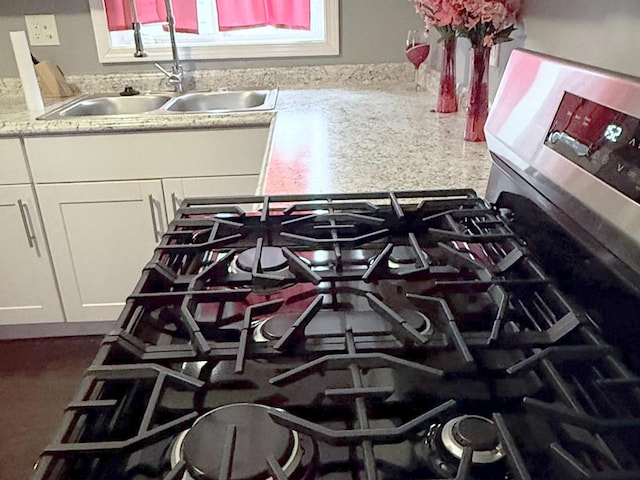 details with white cabinets, light stone counters, and sink