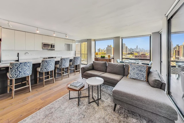 living room with a city view and light wood finished floors