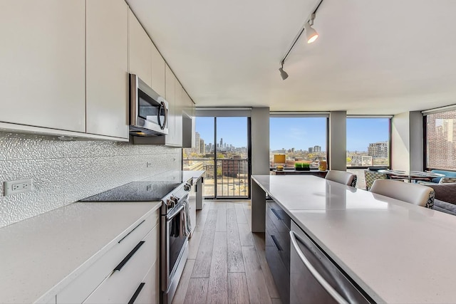 kitchen with a city view, appliances with stainless steel finishes, modern cabinets, and light countertops