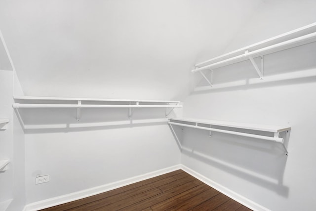 walk in closet featuring hardwood / wood-style flooring