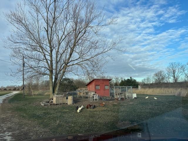 view of yard with an outbuilding