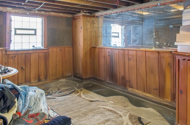 basement featuring wood walls