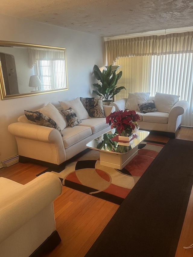 living room featuring wood-type flooring and a textured ceiling