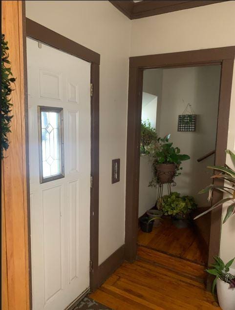 entryway with dark wood-type flooring